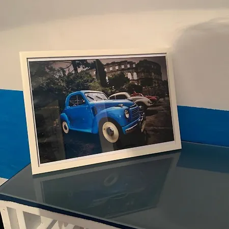 Blue Vibes بولا