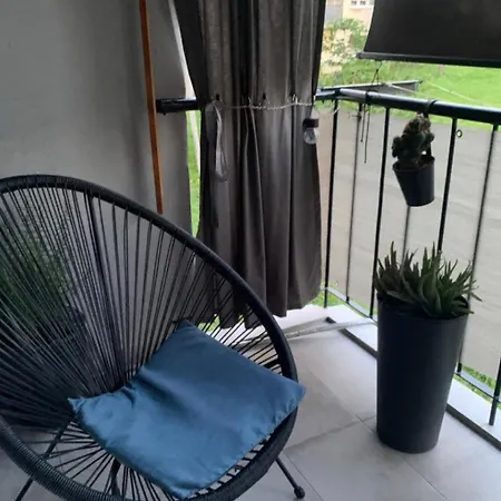 Blue Vibes بولا