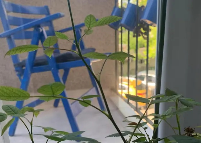 Blue Vibes アパート プーラ