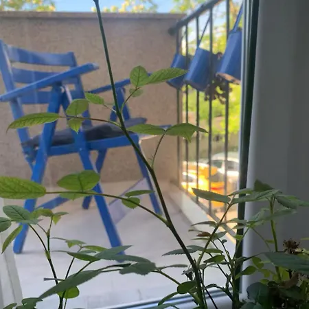 Blue Vibes Apartman Pula